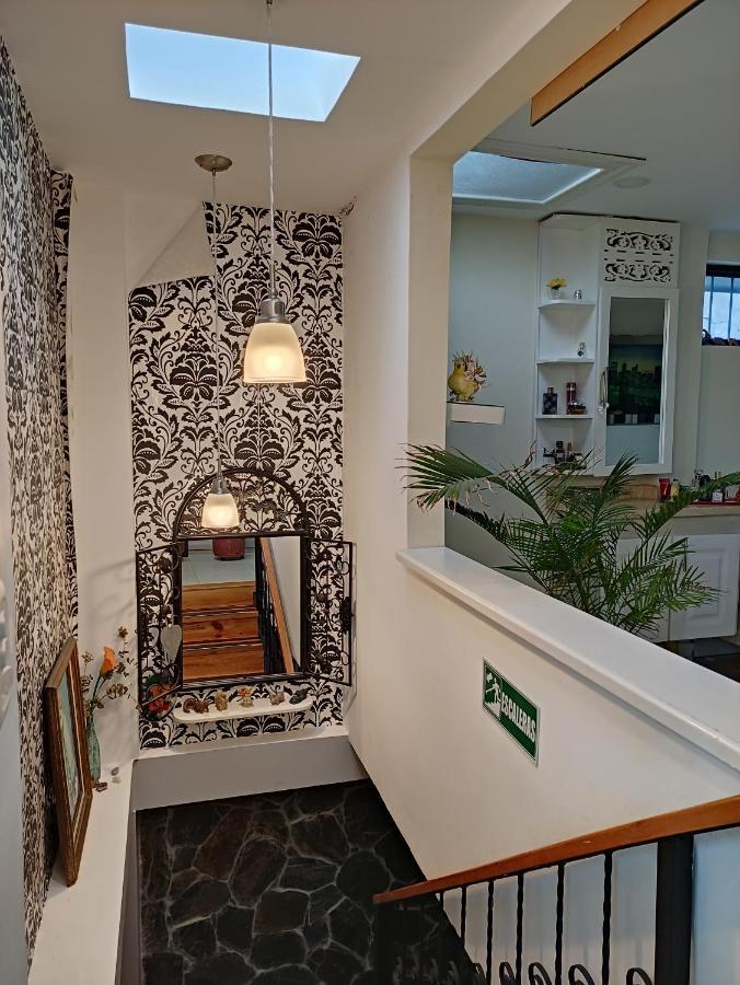 Los Andes Hostal Filandia Extérieur photo